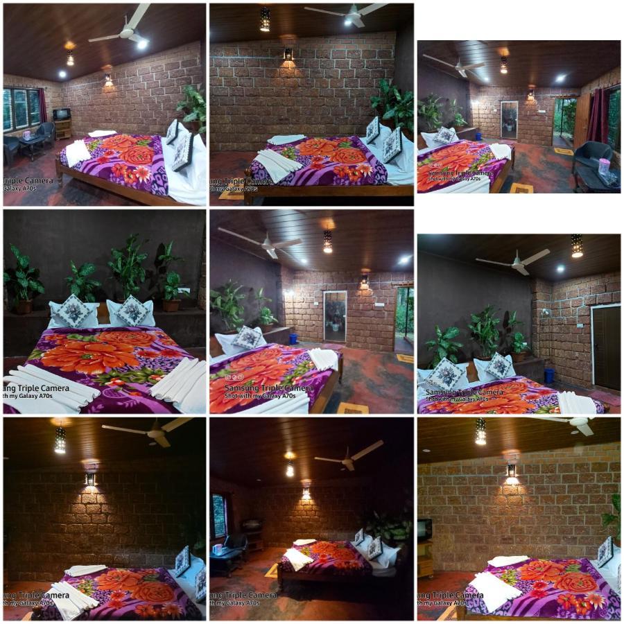 Homestay The Dream