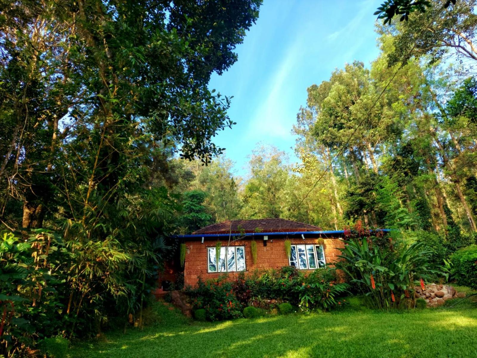 The Dream Homestay
