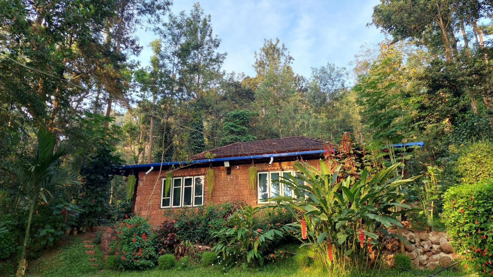 Homestay The Dream