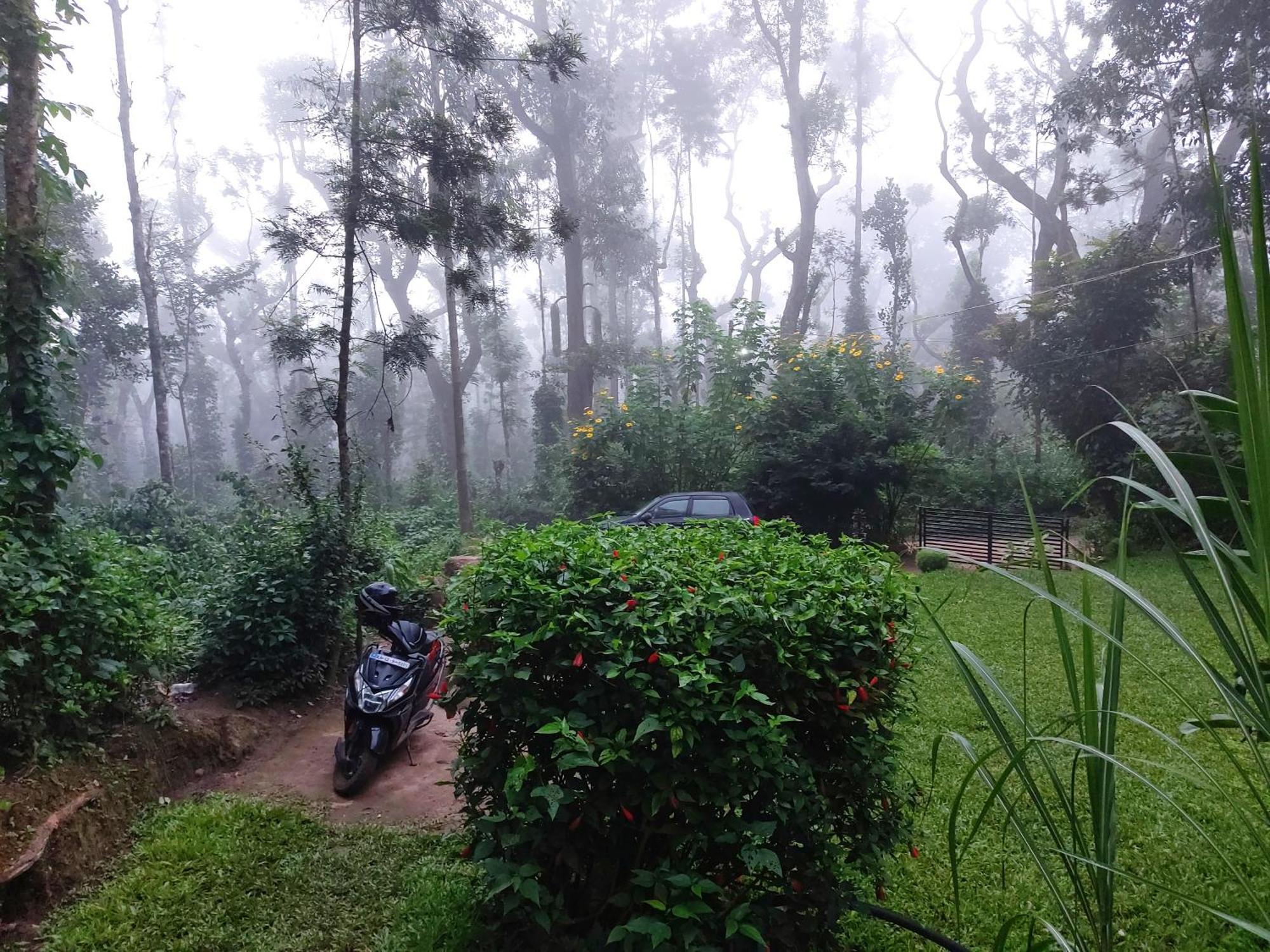 Homestay The Dream