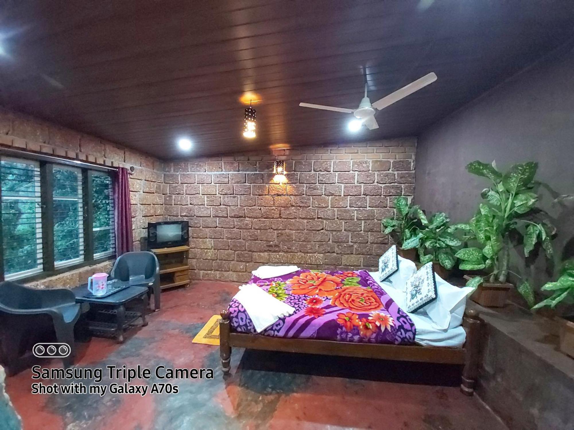 Homestay The Dream