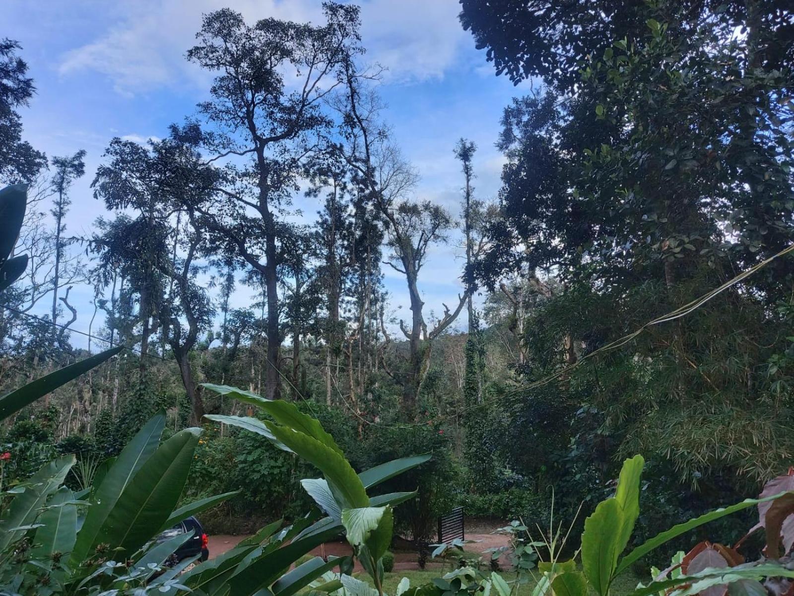 Homestay The Dream *
